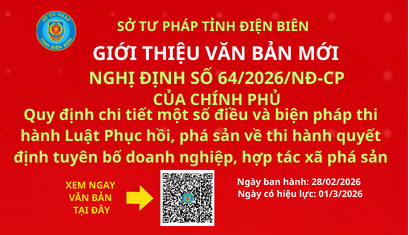 Quy định chi tiết một số điều, biện pháp thi hành về thi hành quyết định tuyên bố DN, HTX phá sản