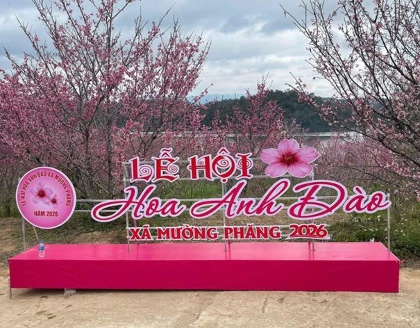 Lễ hội hoa Anh Đào - xã Mường Phăng năm 2026